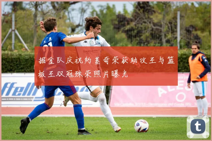 掘金队庆祝约基奇荣获助攻王与篮板王双冠殊荣照片曝光