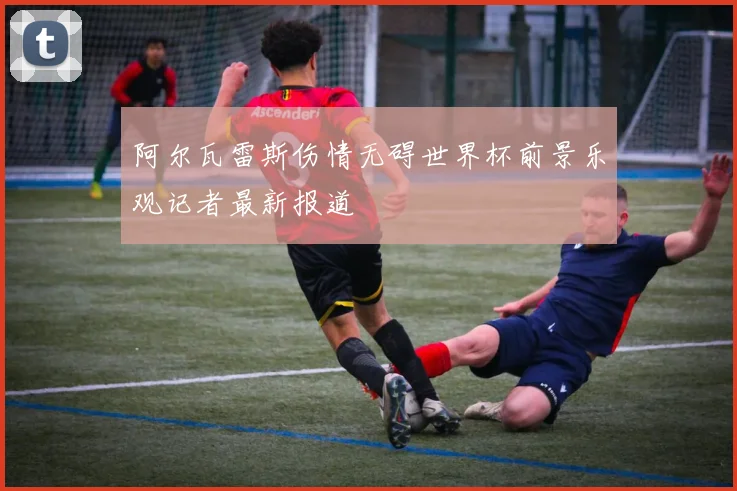 阿尔瓦雷斯伤情无碍世界杯前景乐观记者最新报道